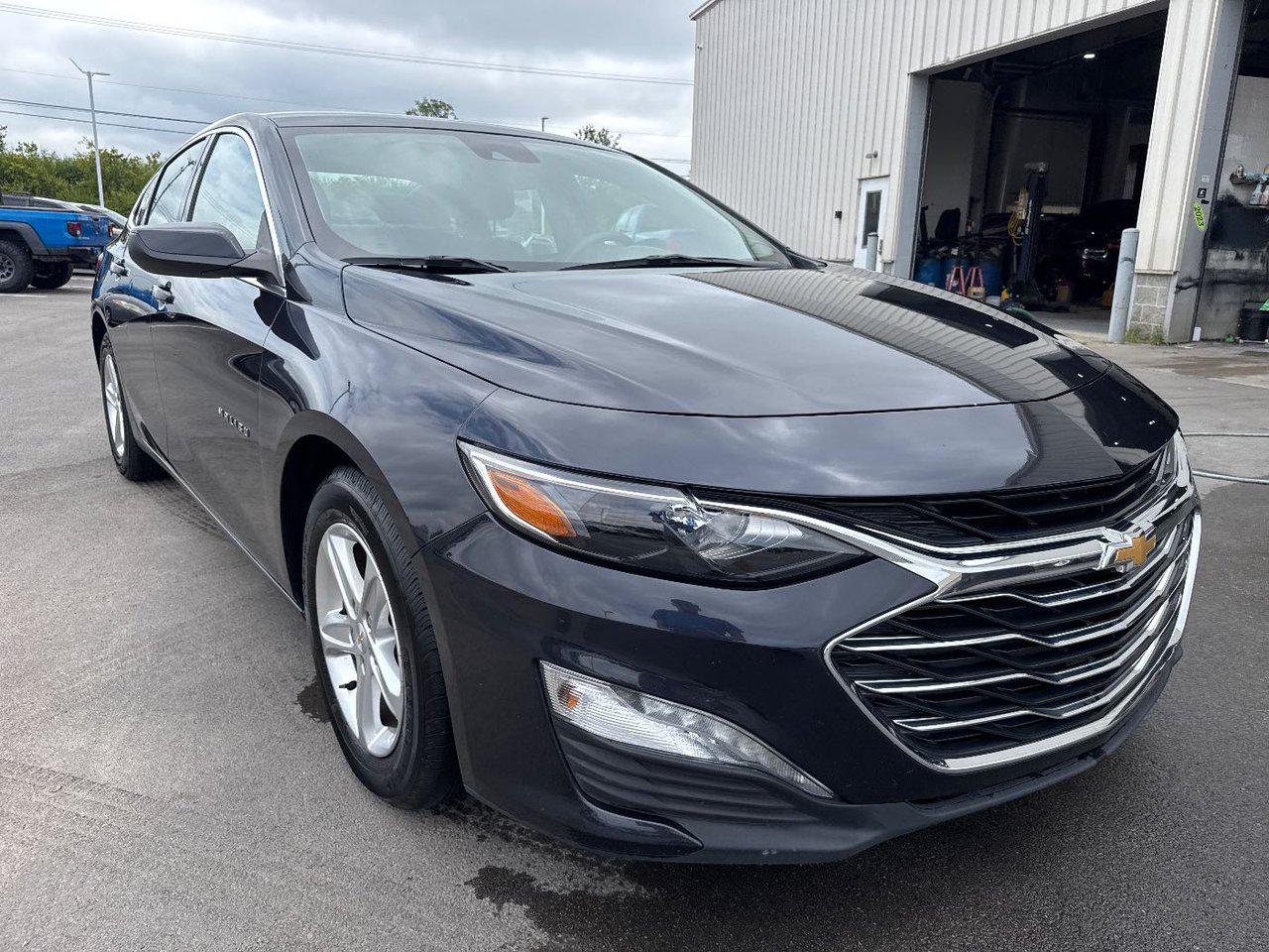 2023 Chevrolet Malibu 1LT photo 3
