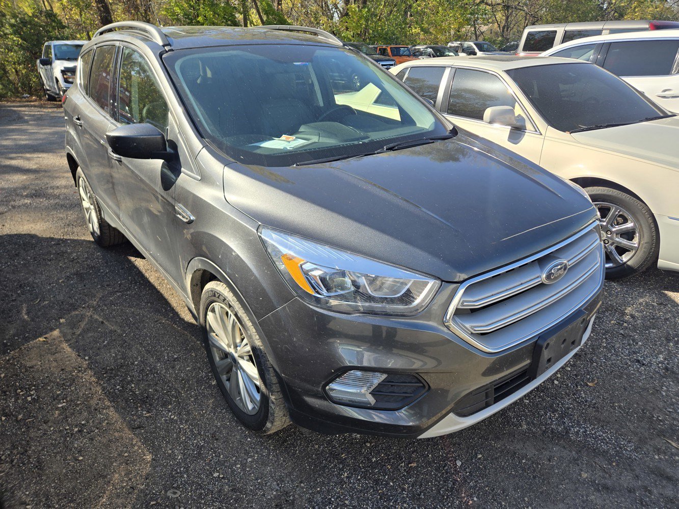 Used 2019 Ford Escape SEL SUV