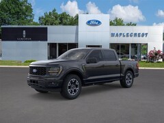 2025 Ford F-150 STX Truck