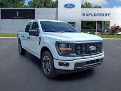 2025 Ford F-150 STX Truck