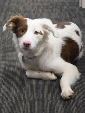 Staff member Teddy from 40ab9fc5a29a