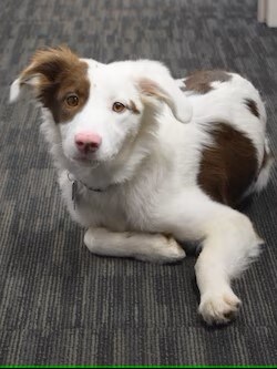 Staff member Teddy from 118c71974009