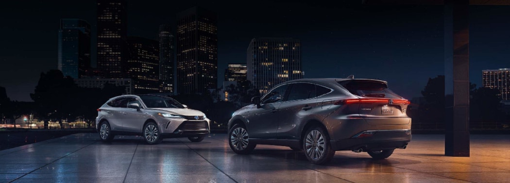 2021 Venza - Maple Toyota 2021 Venza - Maple Toyota