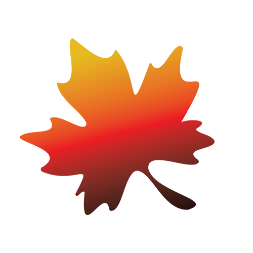 www.maplewoodtoyota.com
