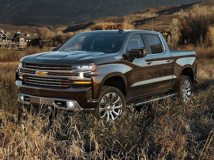 2021 Chevrolet Silverado 1500 Custom Trail Boss Truck