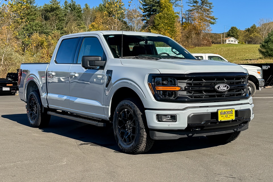 2025 Ford F-150 XLT's photo