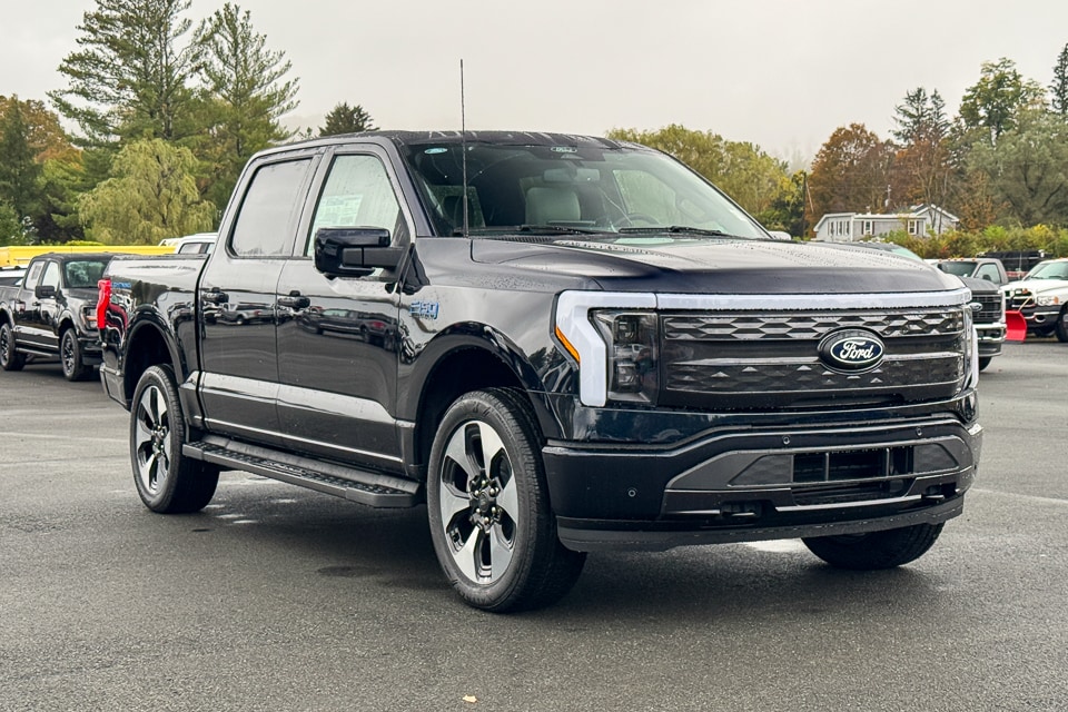 2025 Ford F-150 Lightning Platinum's photo