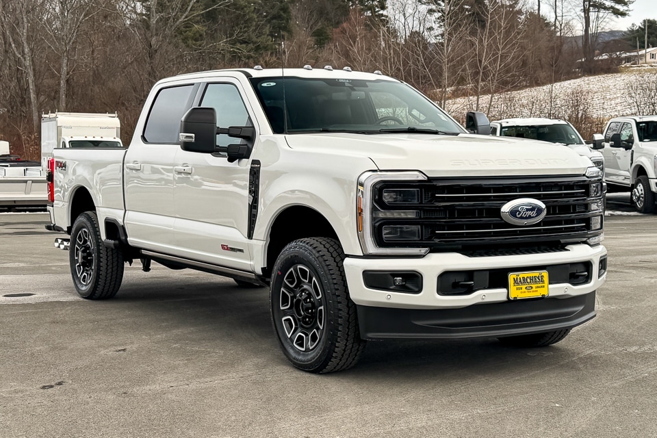2026 Ford F-350 Super Duty Platinum's photo