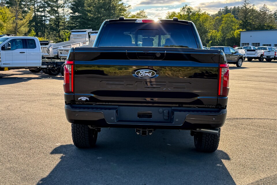2025 Ford F-150 XLT photo 4