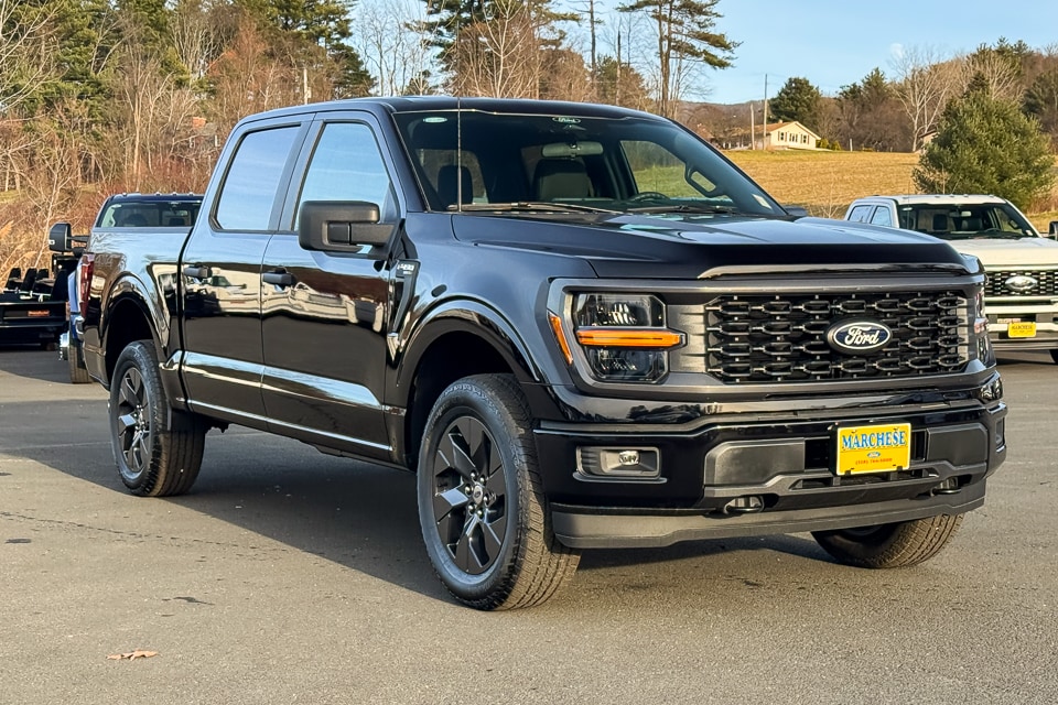 2025 Ford F-150 STX's photo