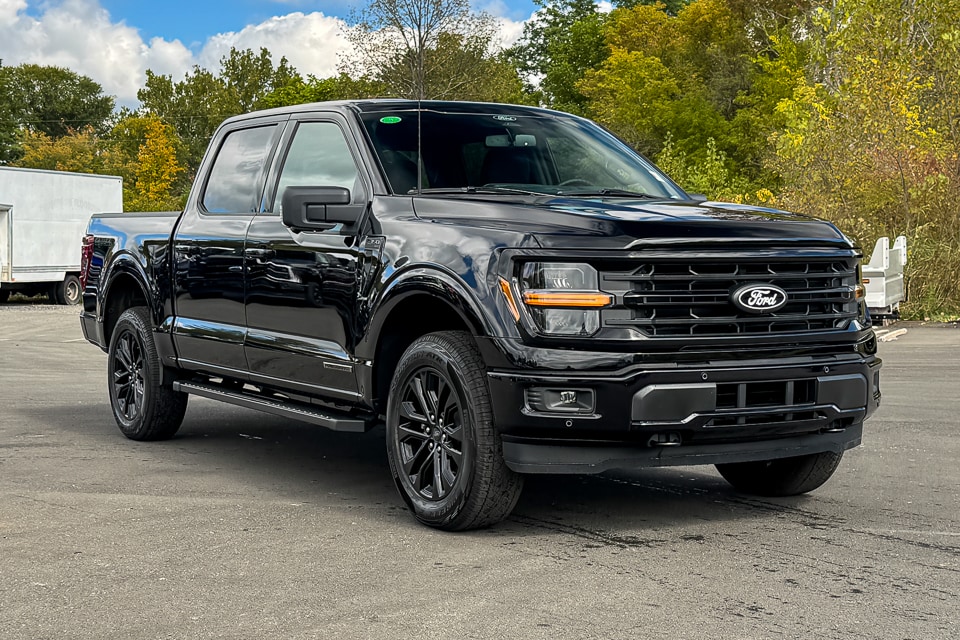 2025 Ford F-150 XLT's photo