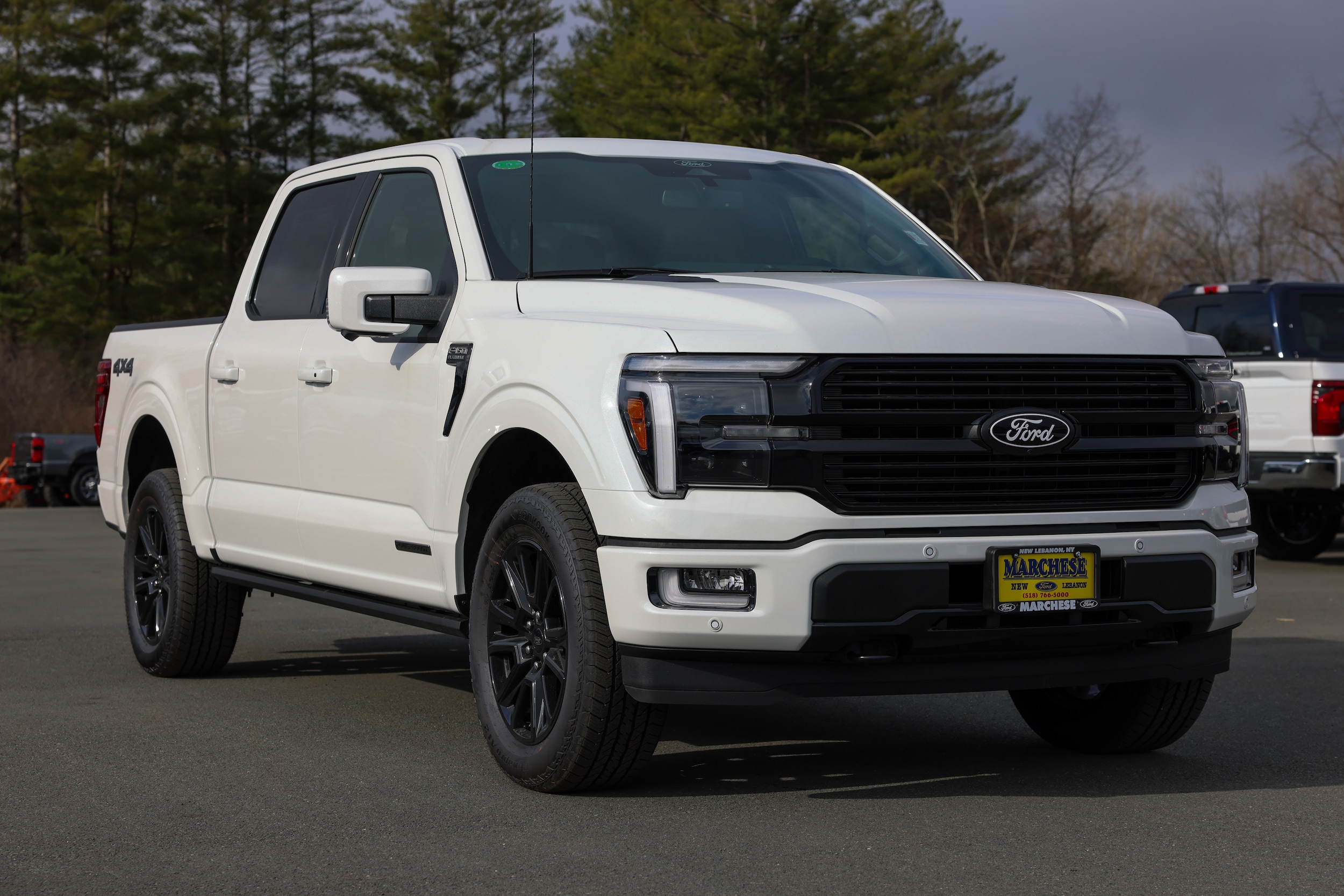 2025 Ford F-150 Platinum's photo