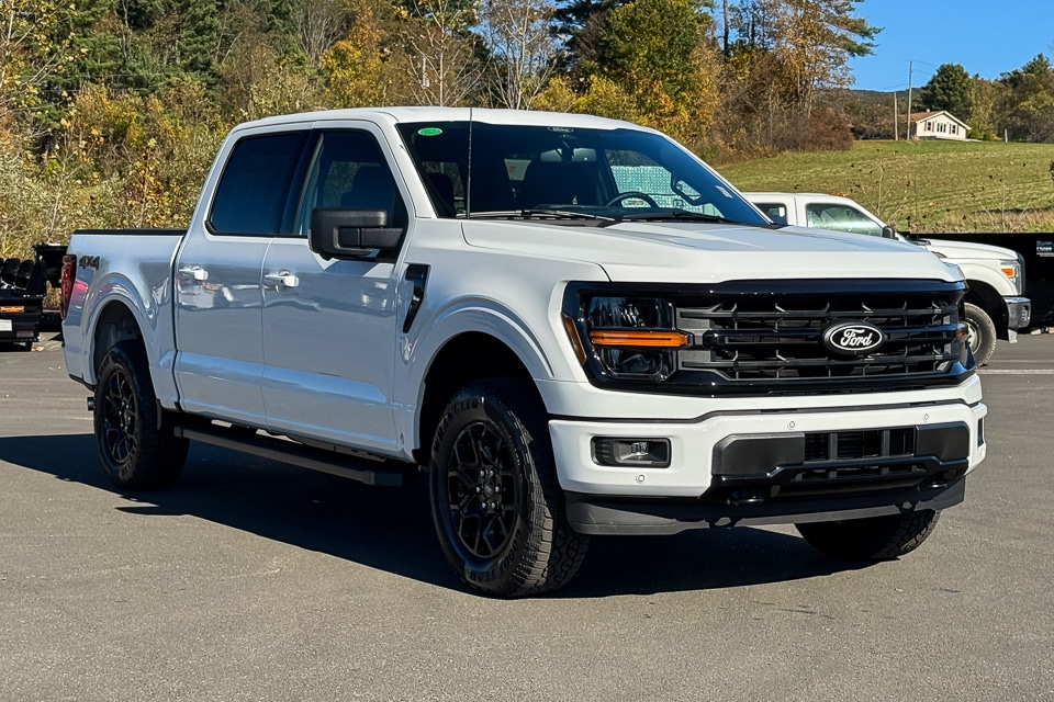 2025 Ford F-150 XLT's photo