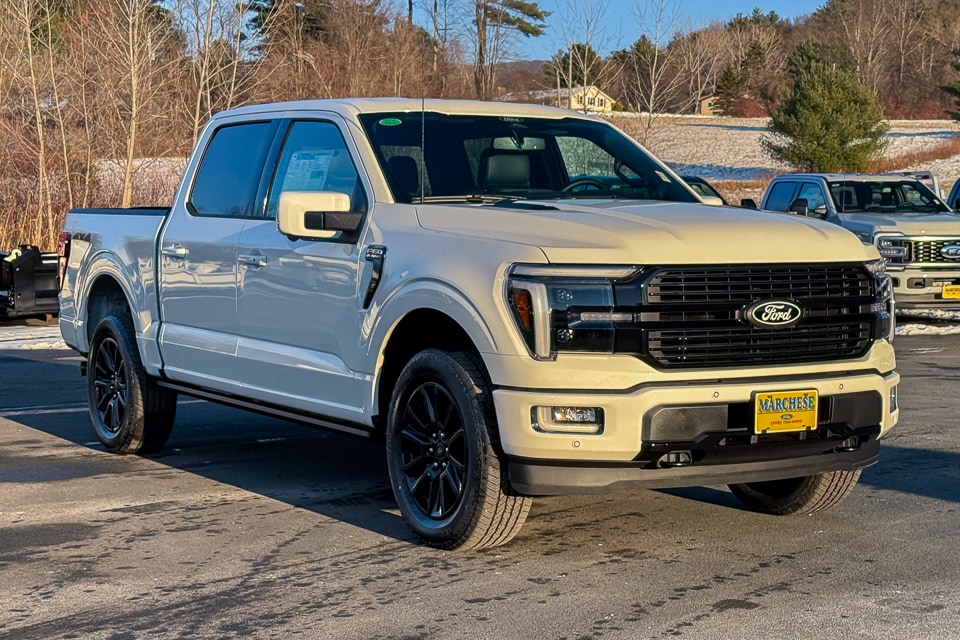 2025 Ford F-150 Platinum's photo