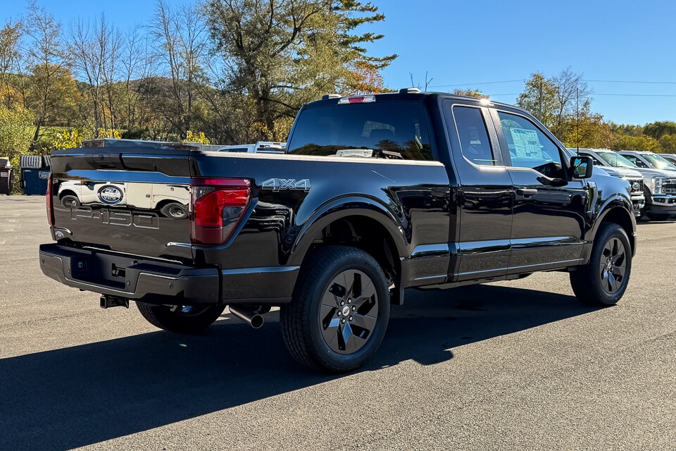 2025 Ford F-150 STX photo 3