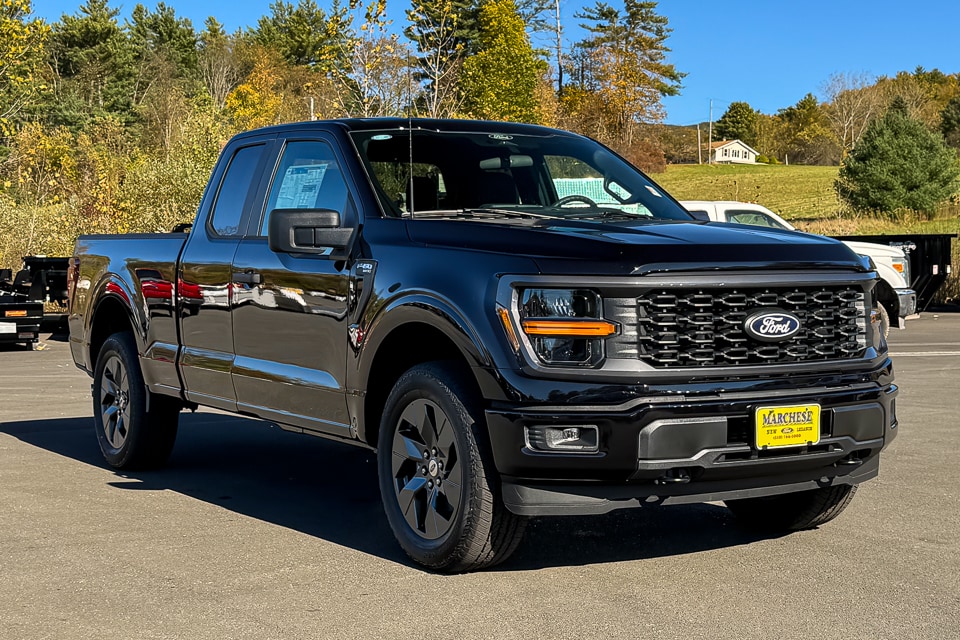 2025 Ford F-150 STX's photo