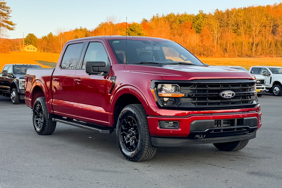 2025 Ford F-150 XLT's photo