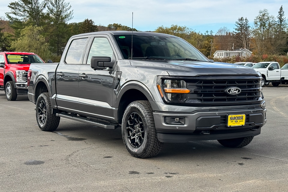2025 Ford F-150 XLT's photo