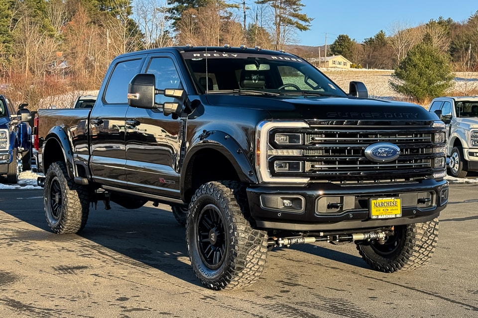 2025 Ford F-350 Super Duty Platinum's photo