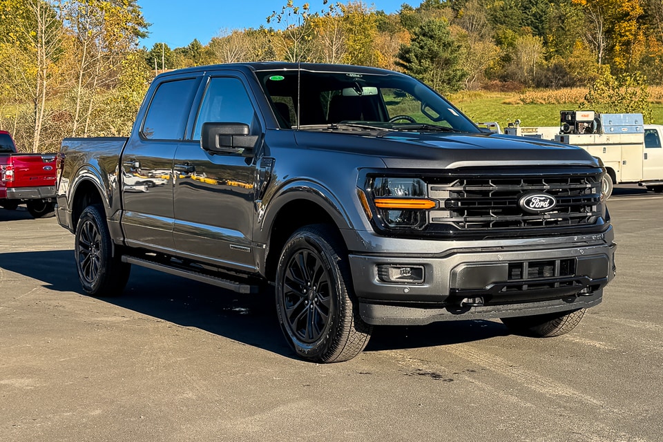 2025 Ford F-150 XLT's photo