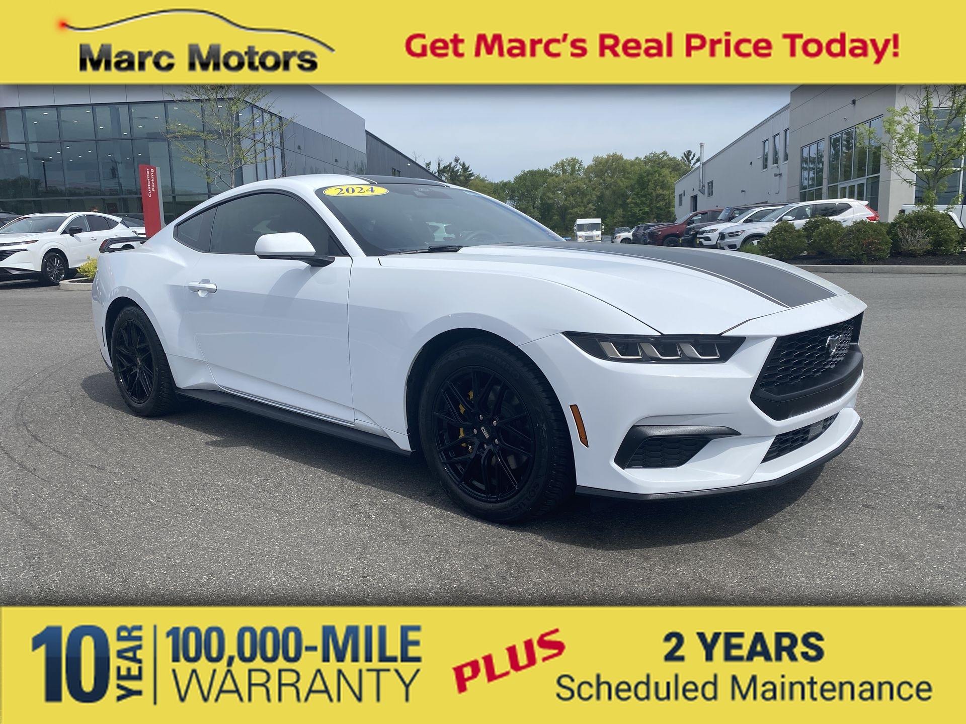 2024 Ford Mustang's photo