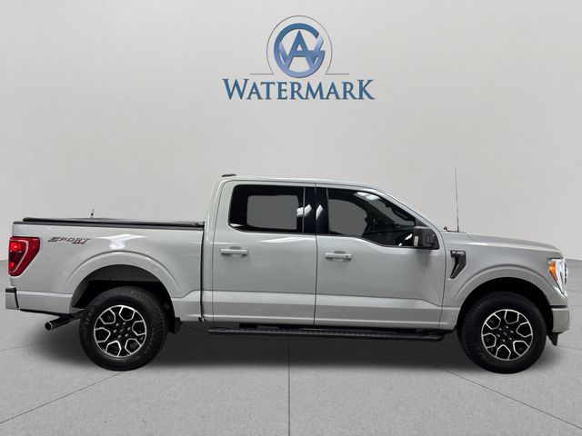 2023 Ford F-150 XLT - Photo 9