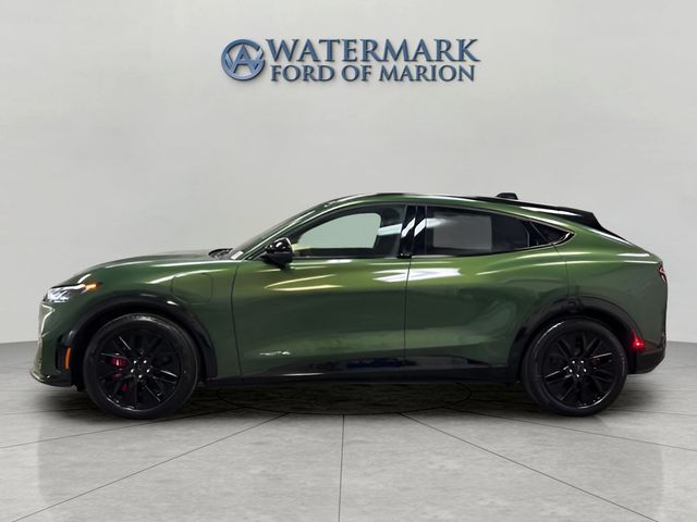 ★2025SS新作★ROLAROLA★SHEARING MUSTANG New 2025 Ford Mustang Mach-E For Sale at Serra Ford