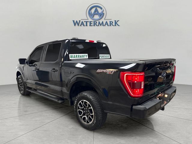 2023 Ford F-150 XLT photo 3