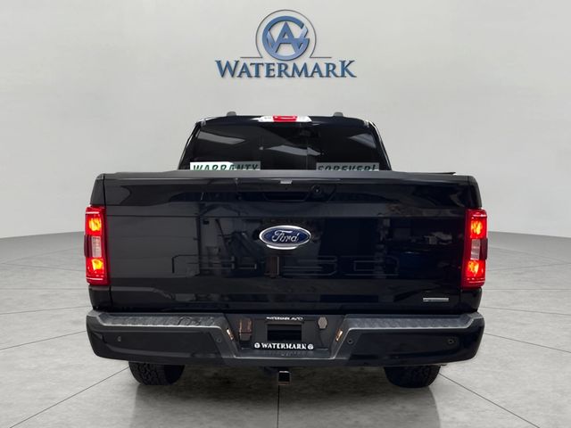2023 Ford F-150 XLT photo 4