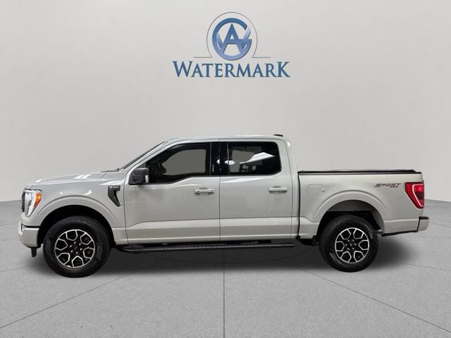 2023 Ford F-150 XLT - Photo 2