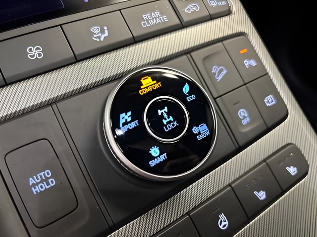 2025 Hyundai Palisade SEL Premium - Photo 31