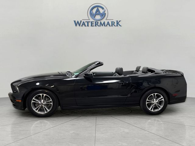 Used 2014 Ford Mustang V6 Premium with VIN 1ZVBP8EM3E5272354 for sale in Marion, IL