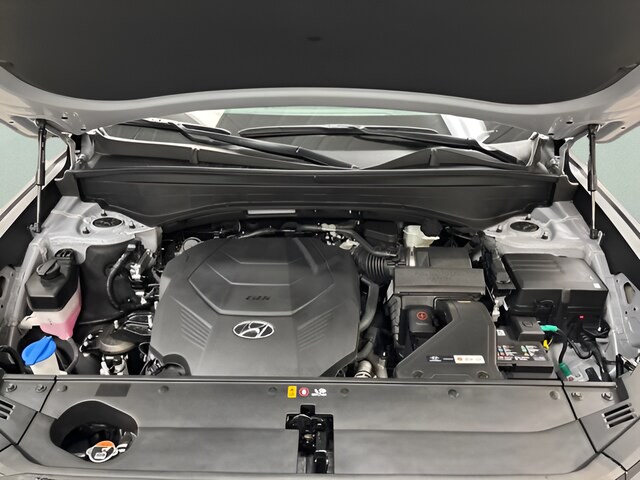 2025 Hyundai Palisade SEL Premium - Photo 22