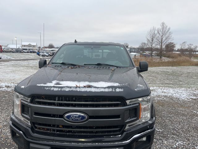 2019 Ford F-150 XLT photo 2