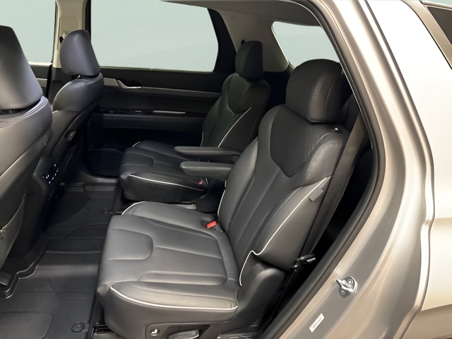 2025 Hyundai Palisade SEL Premium - Photo 39