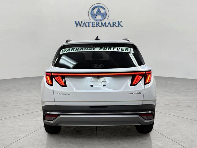 2025 Hyundai Tucson Hybrid SEL Convenience photo 4