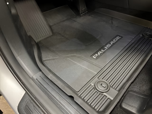 2025 Hyundai Palisade SEL Premium - Photo 34