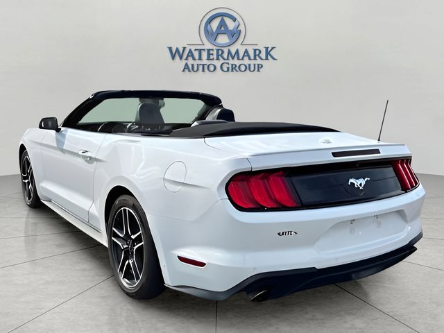 2022 Ford Mustang EcoBoost Premium Convertible photo 3