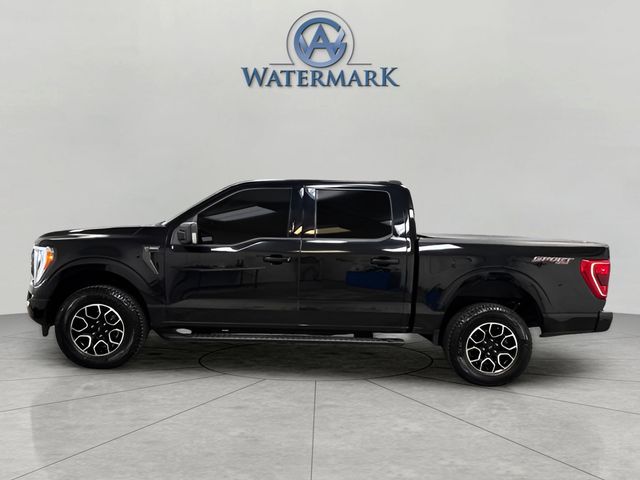 2023 Ford F-150 XLT photo 2