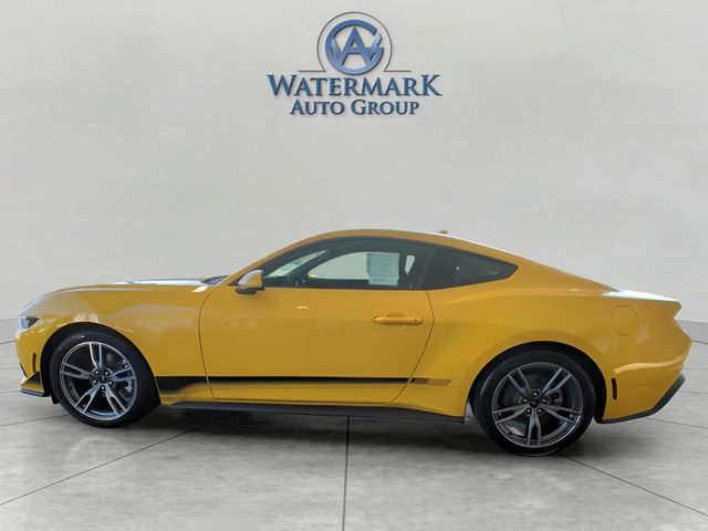 2024 Ford Mustang EcoBoost photo 2
