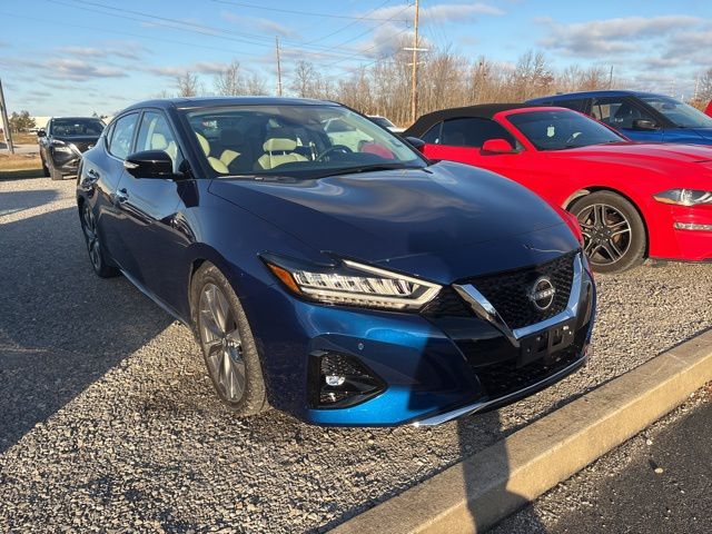 2023 Nissan Maxima Platinum's photo