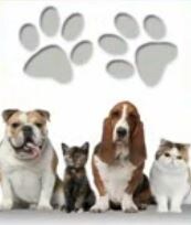 Heartland Pet Fest