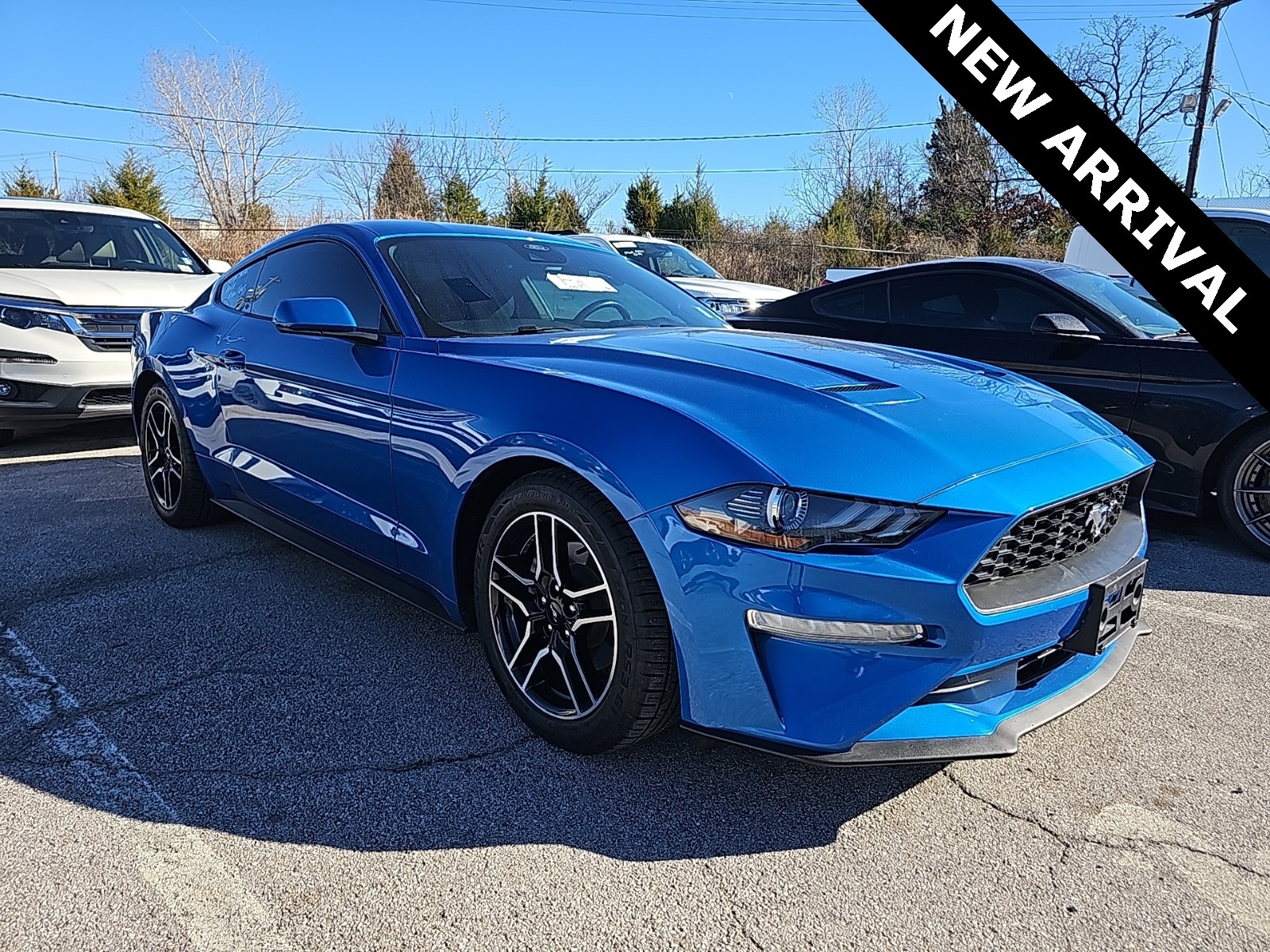 2021 Ford Mustang EcoBoost's photo