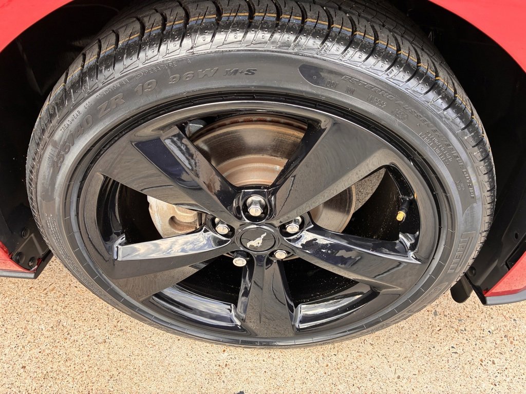 2021 Ford Mustang EcoBoost photo 3