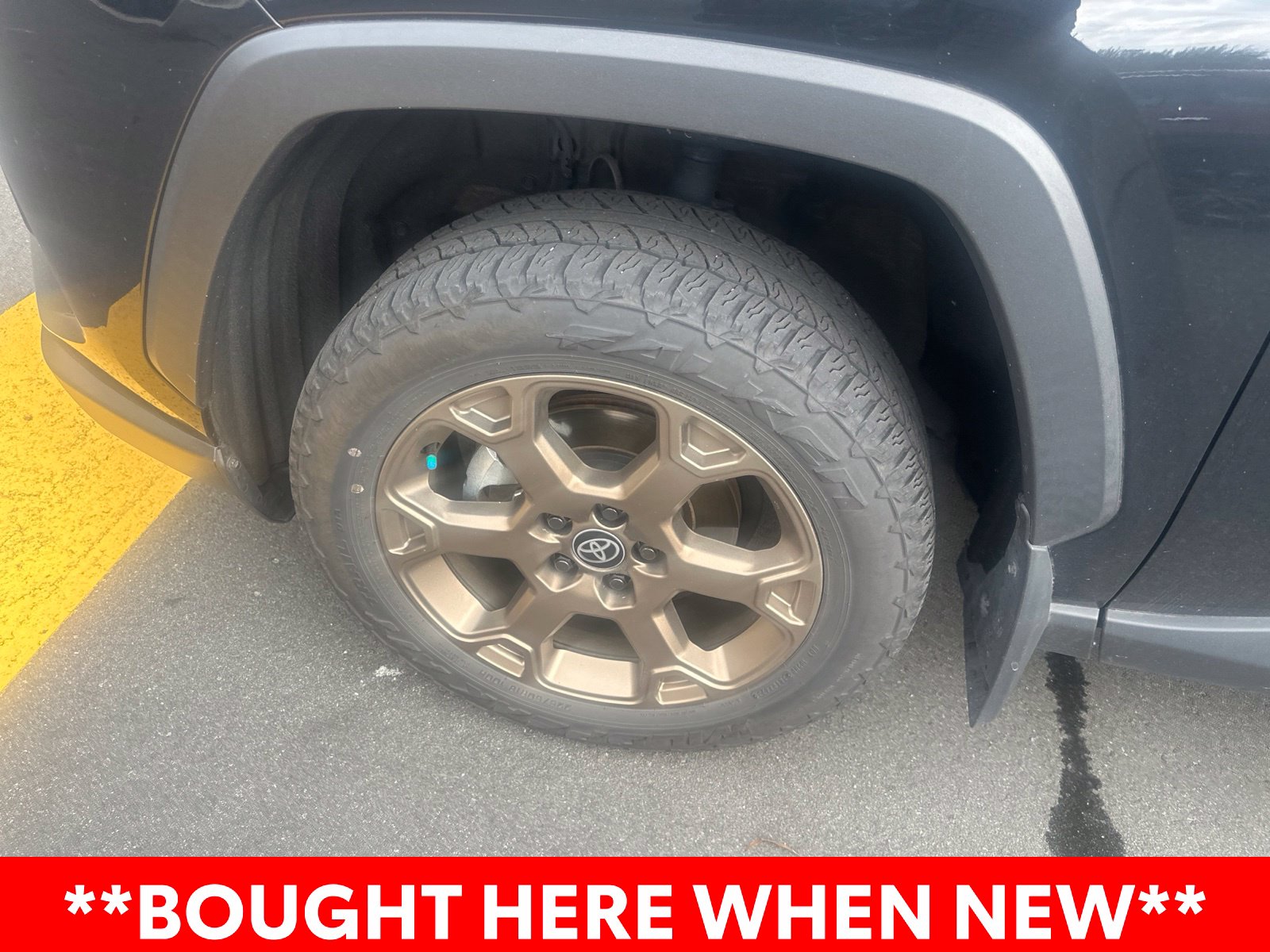 Certified 2024 Toyota RAV4 Hybrid Woodland Edition SUV