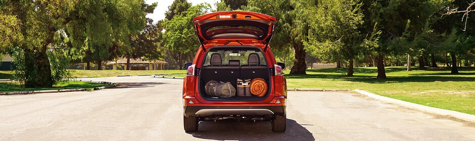MJT 2016 Rav4 4.png