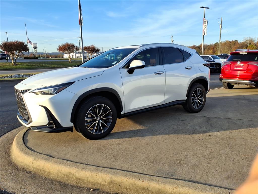2025 Lexus NX 250 Premium photo 3