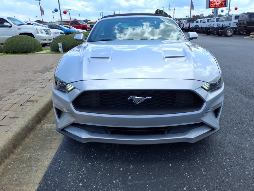 2019 Ford Mustang EcoBoost Convertible photo 2