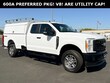 Ford F-250SD