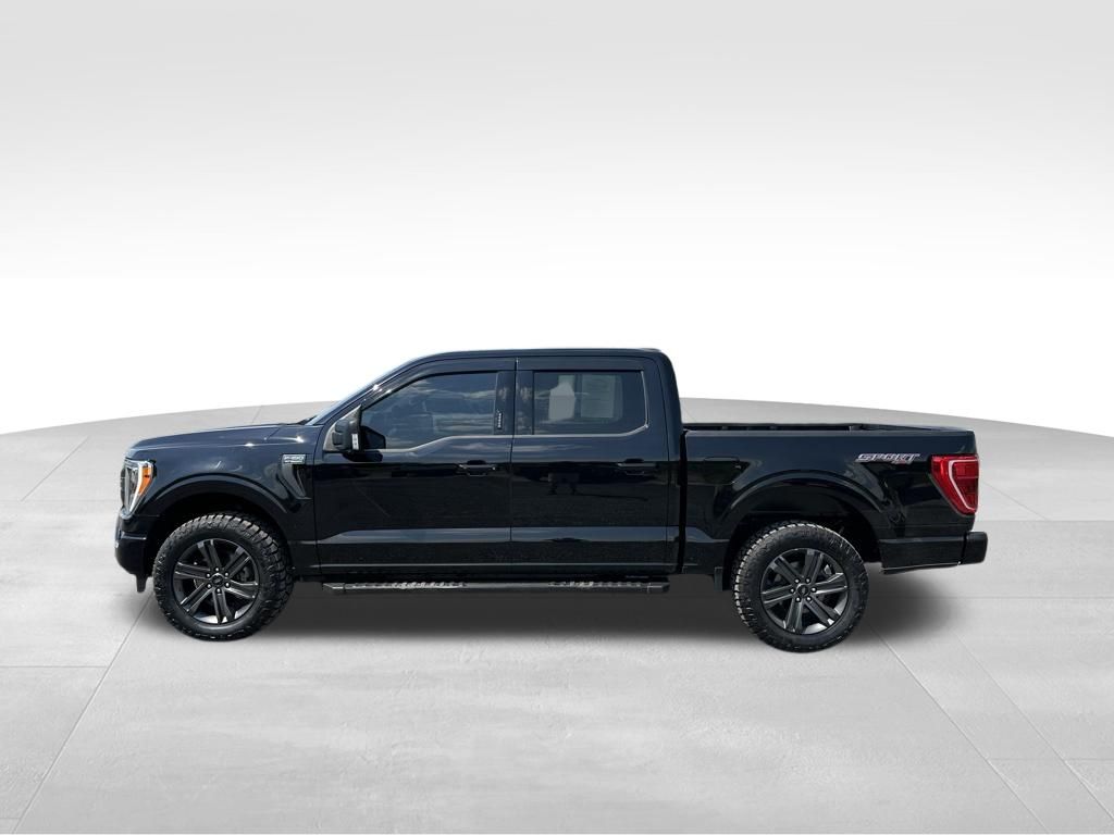 2023 Ford F-150 XLT - Photo 11